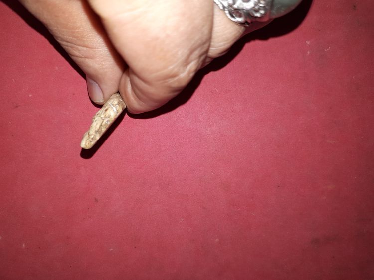 สมเด็จ วัดระฆัง หูยานฐานแซม พิมพ์โบราณ รุ่นแรกๆ บล็อคไม้ เนื้อผงแก่ปูน เป็นมัน เงา ขรุขระเหมือนผิวโลกพระจันทร์ มวลสารครบ จัด ละเอียด ขนาดเล็ รูปที่ 6