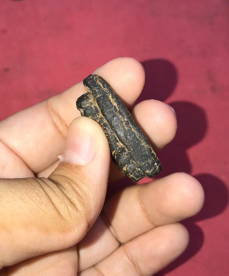 พระหลวงปู่ทวด เนื้อว่าน พิมพ์กรรมการ ปี2497 จ.ปัตตานี ด้านหลังมีลายนิ้วมือ เนื้อดำ ละเอียด ดินกากยายักษ์ เนื้อเข้มจัด เนื้อแกร่งแห้งสนิท รูปที่ 5