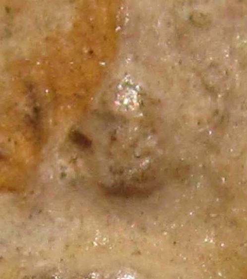 พระสมเด็จวัดระฆัง พิมพ์คะแนนหลวงปู่นาค ปี 2495   P 62 รูปที่ 3