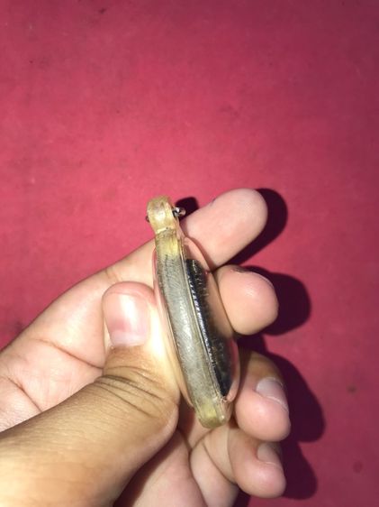 พระหลวงพ่อทวด พิมพ์กรรมการ เนื้อว่าน อาจารย์นอง วัดทรายขาว ฝังตะกรุดนารายณ์แปลงรูปหนึ่งดอกที่ขอบล่าง เป็นตำหรับที่สาบสูญไปพร้อมกับท่านเลย ผิ รูปที่ 5