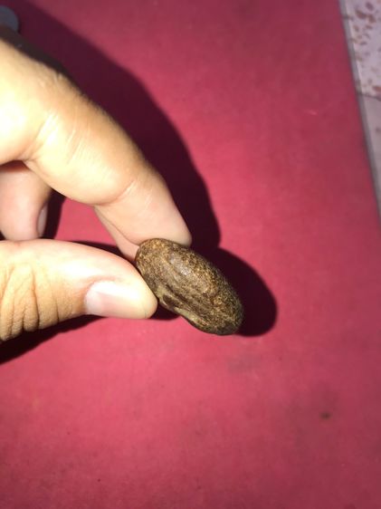 พระปิดตา พิมพ์แข้งหมอน กลาง หลวงปู่จีน วัดท่าลาดเหนือ ฉะเชิงเทรา ปี 2415-2420 หลังอูมเรียบ เนื้อผงคลุกรัก เนื้อแห้ง เหี่ยวย่น มัน พิมพ์คม ชั รูปที่ 6