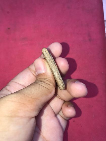 พระสมเด็จ พิมพ์ใหญ่ หูข้างเดียว วังหน้า No.3 ปี 24xx หลังเรียบ ยุบเป็นแอ่ง พิมพ์ทรง ถูกต้อง ครบถ้วน เนื้อผงพุทธคุณ เม็ดดำ แดง ขาว   รูปที่ 3