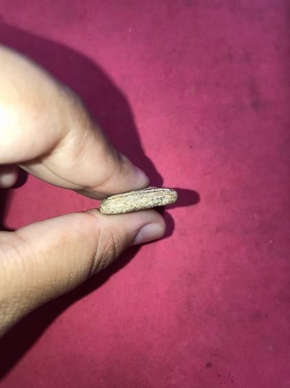 พระสมเด็จ พิมพ์ใหญ่ หูข้างเดียว วังหน้า No.3 ปี 24xx หลังเรียบ ยุบเป็นแอ่ง พิมพ์ทรง ถูกต้อง ครบถ้วน เนื้อผงพุทธคุณ เม็ดดำ แดง ขาว   รูปที่ 4