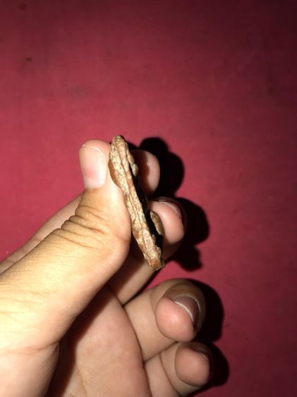 พระมเหศวร 2 หน้า ขนาดประมาณ 2.3 คูณ 3.5 ซ.ม เนื้อดินเก่า ผิวมันปู ผิวมันๆเก่า เนื้อจัดเข้มขลัง รูปทรงคมชัด มีคราบกรุ เอกลักษณ์ในตัวเอง Class รูปที่ 6