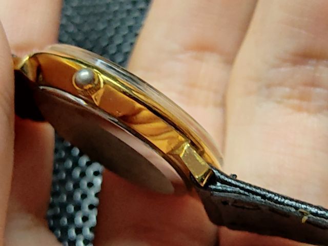 Borbonese lady รูปที่ 6