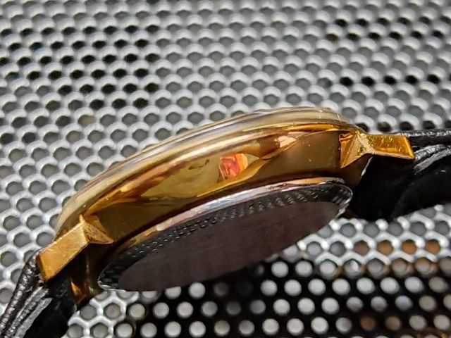 Borbonese lady รูปที่ 5