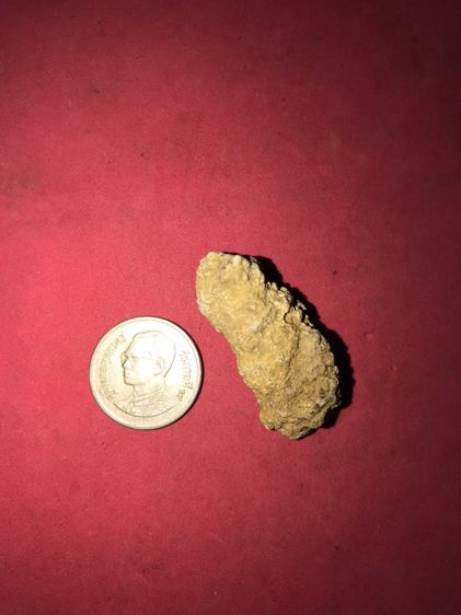 คตถั่ว ยาวประมาณ 1 นิ้ว รูปทรงสวยงาม เป็นธรรมชาติมาก สภาพสมบูรณ์ เก่า แท้ ขนาดพอดี กำลังห้อย มีเอกลักษณ์ในตัวเอง ดูทรงคุณค่าสวยงามแปลกตา รูปที่ 9