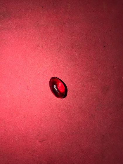 พญาเต่าเรือน ขนาดจิ๋ว เนื้อทองผสม ใต้ท้องมีช่องสำหรับใส่ของ ผิวเดิมๆ รูปทรงสวยงาม เก่า อายุหลายๆ 10 ปี แท้ หายาก ไม่รู้ที่ พลอยแดง ขนาดเล็ก รูปที่ 9