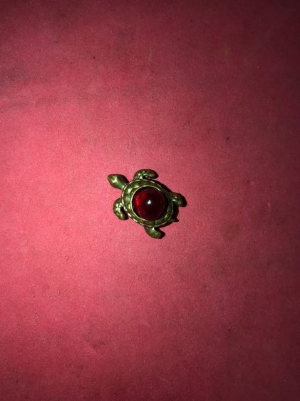 พญาเต่าเรือน ขนาดจิ๋ว เนื้อทองผสม ใต้ท้องมีช่องสำหรับใส่ของ ผิวเดิมๆ รูปทรงสวยงาม เก่า อายุหลายๆ 10 ปี แท้ หายาก ไม่รู้ที่ พลอยแดง ขนาดเล็ก