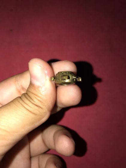 พญาเต่าเรือน ขนาดจิ๋ว เนื้อทองผสม ใต้ท้องมีช่องสำหรับใส่ของ ผิวเดิมๆ รูปทรงสวยงาม เก่า อายุหลายๆ 10 ปี แท้ หายาก ไม่รู้ที่ พลอยแดง ขนาดเล็ก รูปที่ 6