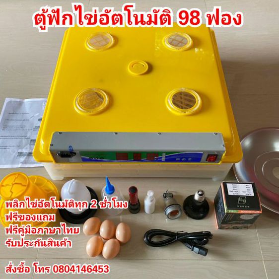 My Image 16