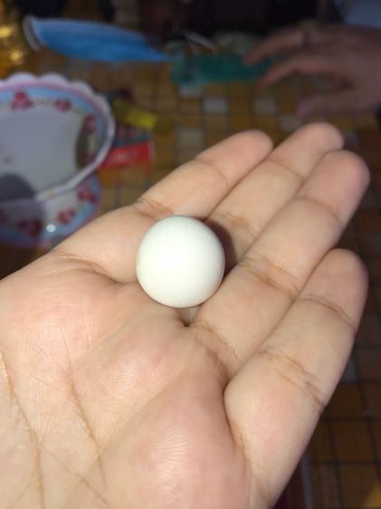 เหล็กไหลขาว อายุเป็น 1,000 ปี สีขาว สีออกสีขุ่น มีน้ำหนัก รูปทรงและรูปแบบสวยงาม ไม่คมมือ มีรอยบุบเป็นธรรมชาติ ผิวเดิมๆ เกิดขึ้นเองโดยธรรมชาต รูปที่ 13