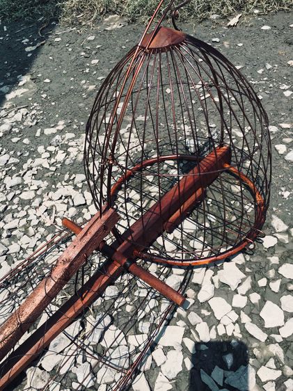 กรงต่อนกเขาใหญ่ รูปที่ 4