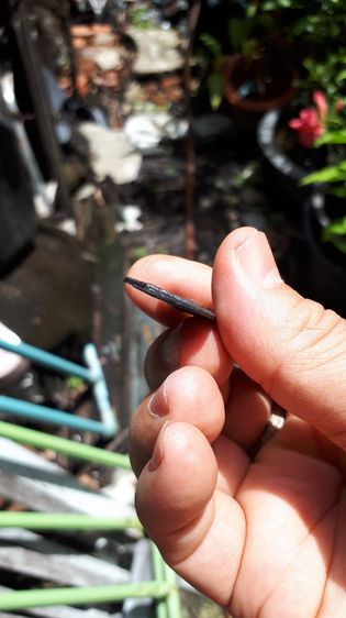 เหรียญ หลวงพ่อทวด รุ่น3 บล็อคเขยือน พิมพ์ 2 จุด ประคตเต็ม ปี2504 เนื้อทองแดงรมดำ พิมพ์ถูก คมชัด สวยและสมบูรณ์ตามสภาพเหรียญเก่าเก็บ แท้ ผิวเด รูปที่ 9