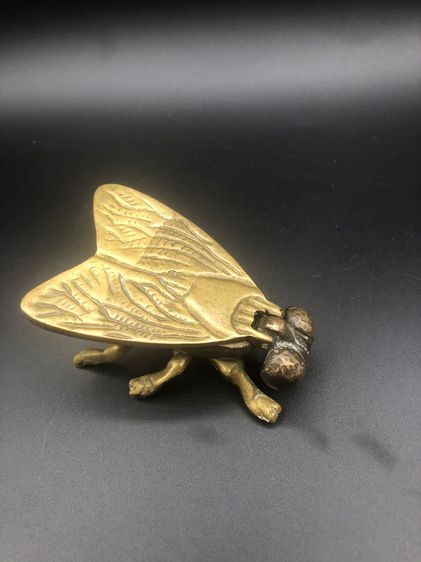 แมลงทองเหลือง เปิดปิด ไว้ใส่ของจุกจิก