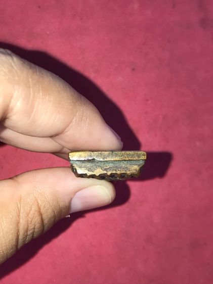 หลวงปู่ทวด หลังเตารีด วัดช้างให้ ปัตตานี เนื้อทองผสม ปี 2505 พระถูกพิมพ์ หลังสวย เป็นธรรมชาติ หนา ล้ำ ไม่มีรอยแต่งตะไบ ผิวออกสองสี มีคราบขี้ รูปที่ 5