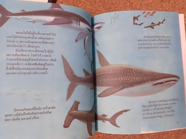 หนังสือ สารานุกรมสำหรับเด็ก 1-16 เล่ม ปกแข็ง รวม 15 เล่ม (ขาดเล่ม 3) โดย บริทานิกา รูปที่ 10