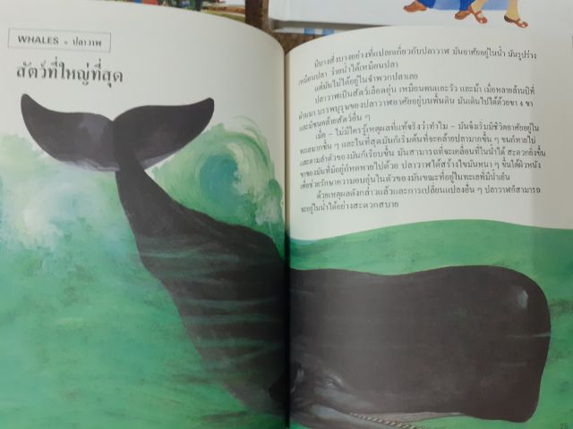 หนังสือ สารานุกรมสำหรับเด็ก 1-16 เล่ม ปกแข็ง รวม 15 เล่ม (ขาดเล่ม 3) โดย บริทานิกา รูปที่ 15