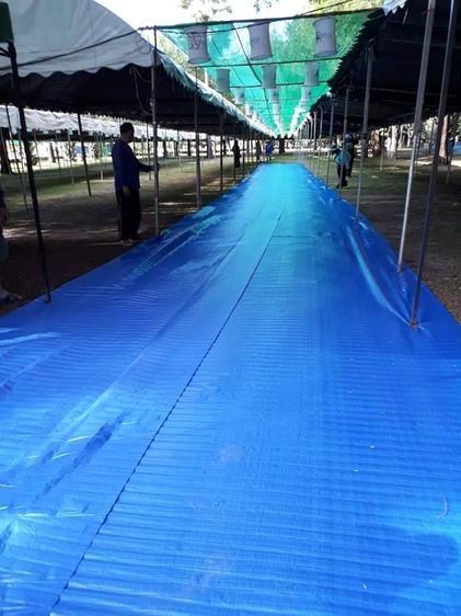 ผ้าบลูชีท ผ้าม้วน ผ้าฝางสีฟ้าล้วน ฟ้าขาว หรือน้ำเงิน ขี้ม้า รูปที่ 11