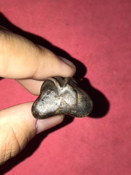 พระปิดตา ยันต์ยุ่ง เนื้อสำริดเงิน ผิวออกสีดำ เหี่ยวย่น พระมีน้ำหนัก พระมีเอกลักษณ์ในตัวเอง สภาพสมบูรณ์ สวย แปลก เก่า แท้ หายาก นานๆจะเจอแบบน รูปที่ 5