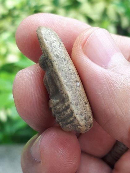 พระคง กรุเก่า จังหวัดลำพูน หลังอูม เนื้อดินเผา มวลสารครบ จัด ละเอียด องค์นี้เป็นพระคงสีพิกุลค่อนไปทางสีเนื้ออ่อน มีเนื้อดินที่แข็งแกร่ง แห้ง รูปที่ 16