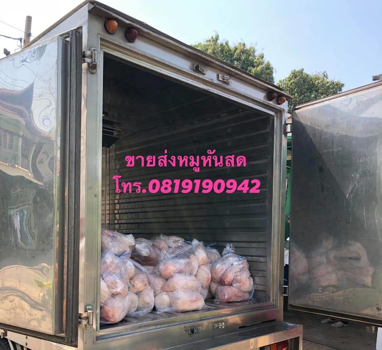 ขายส่งลูกหมูหันสดใหม่ขาวใสสะอาดปลอดภัยคุณภาพมาตราฐานคัดขนาดพิเศษเกรดA รูปที่ 15