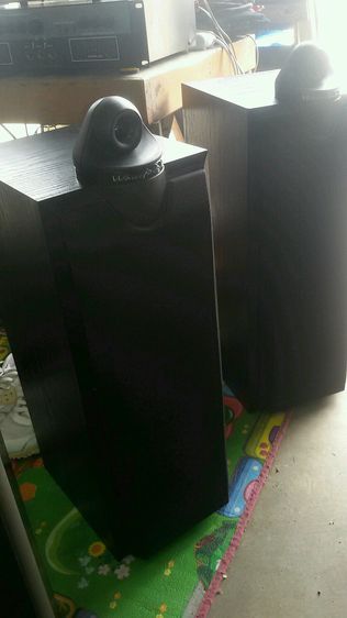 วาฟีเดล เมดอินอังกฤษ รูปที่ 5