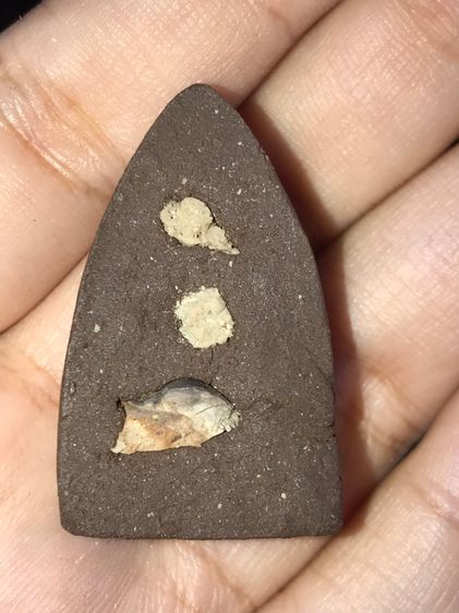 หลวงปู่ทวด สก. พิมพ์ครางเครา เนื้อว่าน ฝังผงบางขุนพรหม รุ่นแรก พ.ศ.2544 พิมพ์พิเศษ สร้างน้อยหายาก สภาพสวย ผิวเดิมๆ  รูปที่ 7