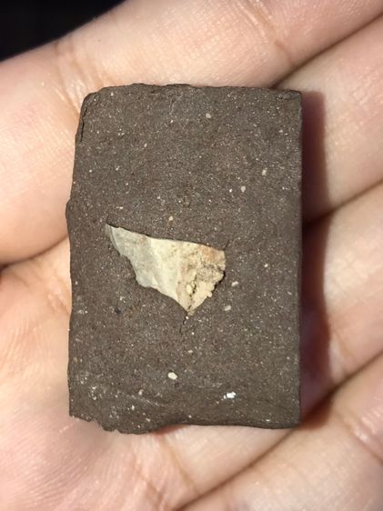 หลวงปู่ทวด สก. พิมพ์สี่เหลี่ยมใหญ่ เนื้อว่าน ฝังผงบางขุนพรหม รุ่นแรก พ.ศ.2544 พิมพ์พิเศษ สร้างน้อยหายาก สภาพสวย ผิวเดิมๆ  รูปที่ 7