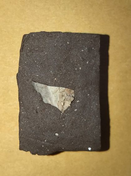 หลวงปู่ทวด สก. พิมพ์สี่เหลี่ยมใหญ่ เนื้อว่าน ฝังผงบางขุนพรหม รุ่นแรก พ.ศ.2544 พิมพ์พิเศษ สร้างน้อยหายาก สภาพสวย ผิวเดิมๆ  รูปที่ 2