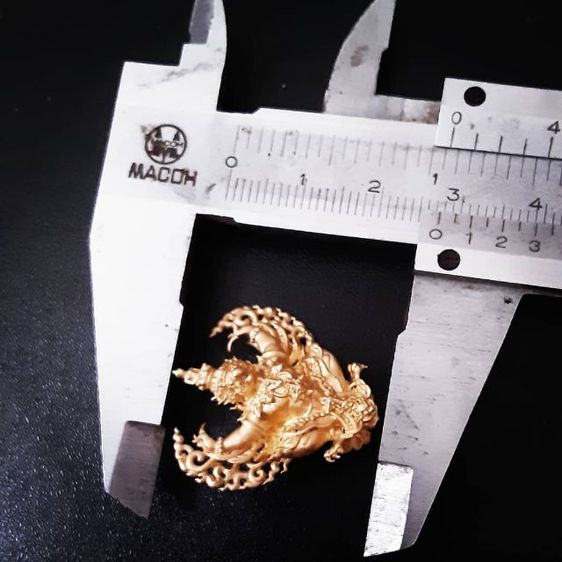 พญาครุฑครูบาอริยชาติ มีหลายสี รูปที่ 12