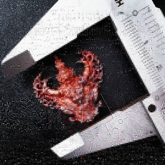 พญาครุฑครูบาอริยชาติ มีหลายสี รูปที่ 3