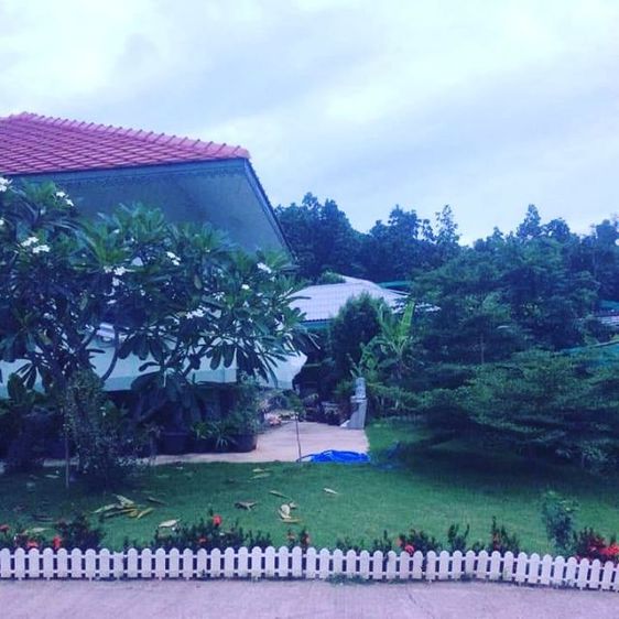 พระนาคปรก รูปที่ 12