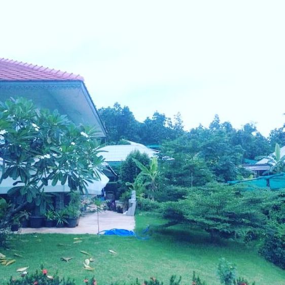 พระนาคปรก รูปที่ 13