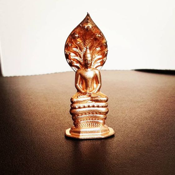 พระนาคปรก รูปที่ 3