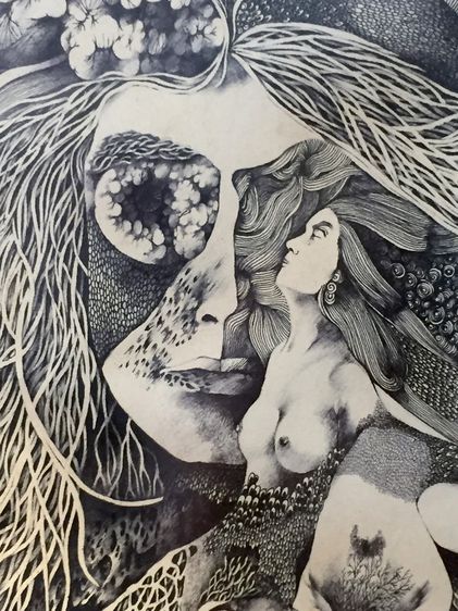 ภาพลายเส้น รูปที่ 9