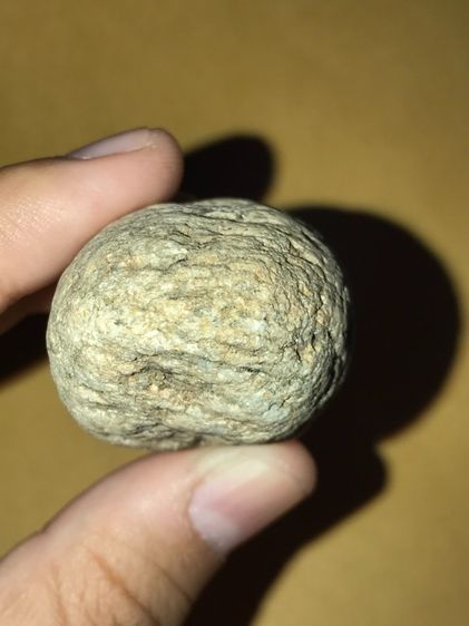 คตไข่งูจงอาง สีขาวอมเทา ผิวมีลาย ดำคาด มีเกล็ดออกสีเงิน และสีทองรอบๆ  มีน้ำหนัก ขนาด 1.5 คูณ 2 นิ้ว รูปทรงกลมมน เก่า สวย แท้ แปลก หายาก มากๆ รูปที่ 12