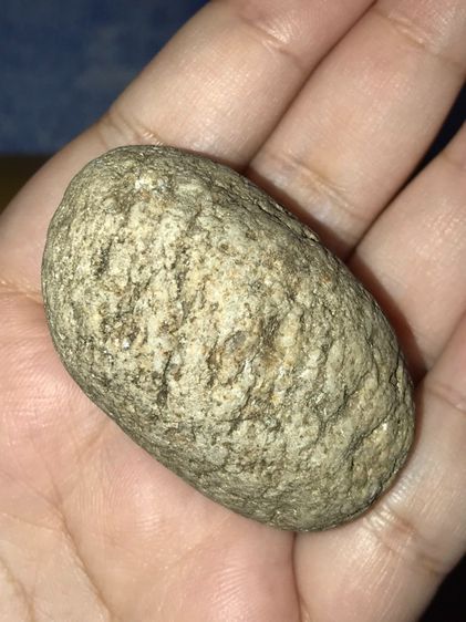 คตไข่งูจงอาง สีขาวอมเทา ผิวมีลาย ดำคาด มีเกล็ดออกสีเงิน และสีทองรอบๆ  มีน้ำหนัก ขนาด 1.5 คูณ 2 นิ้ว รูปทรงกลมมน เก่า สวย แท้ แปลก หายาก มากๆ รูปที่ 7