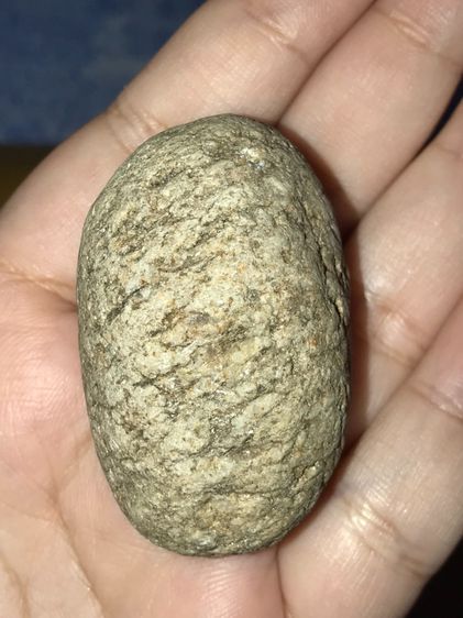 คตไข่งูจงอาง สีขาวอมเทา ผิวมีลาย ดำคาด มีเกล็ดออกสีเงิน และสีทองรอบๆ  มีน้ำหนัก ขนาด 1.5 คูณ 2 นิ้ว รูปทรงกลมมน เก่า สวย แท้ แปลก หายาก มากๆ รูปที่ 8