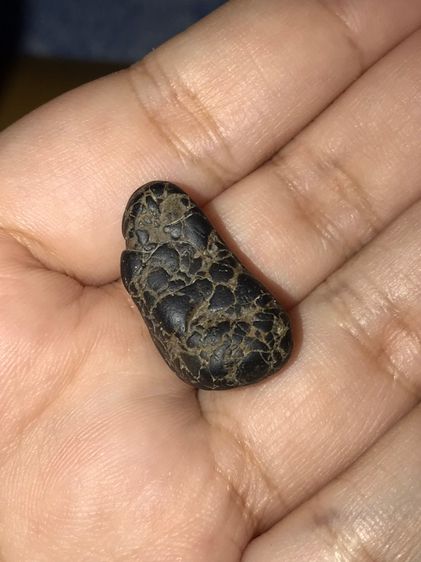 คตปลวก สีดำ ขนาดประมาณ 2 ซม มีน้ำหนัก ผิวแห้ง เหี่ยวย่น เป็นธรรมชาติ สภาพสวย สมบูรณ์เก่า แท้ แปลก หายาก       พุทธคุณโดดเด่นทางด้าน เหนียว อ รูปที่ 7