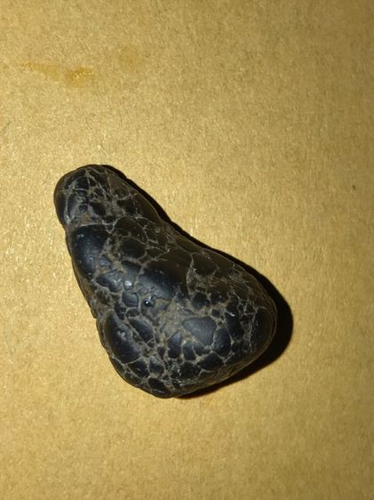 คตปลวก สีดำ ขนาดประมาณ 2 ซม มีน้ำหนัก ผิวแห้ง เหี่ยวย่น เป็นธรรมชาติ สภาพสวย สมบูรณ์เก่า แท้ แปลก หายาก       พุทธคุณโดดเด่นทางด้าน เหนียว อ รูปที่ 2