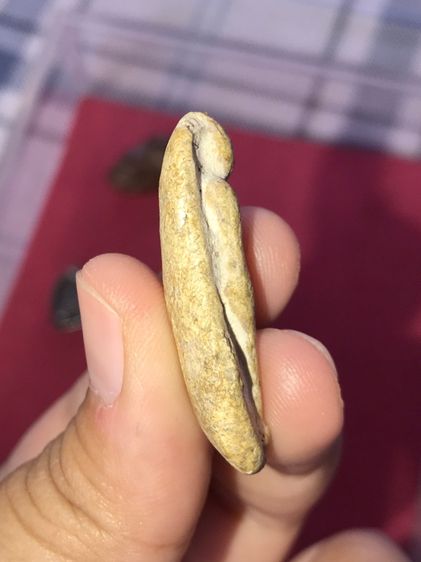 พระกรุ พิมพ์วันทาเสมา เนื้อผง ขอบไม่คม ผิวเดิม เก่า แท้ สภาพสวยสมบูรณ์ เป็นธรรมชาติ พระแท้ มีพุทธคุณ ไม่ทราบกรุ รูปที่ 9