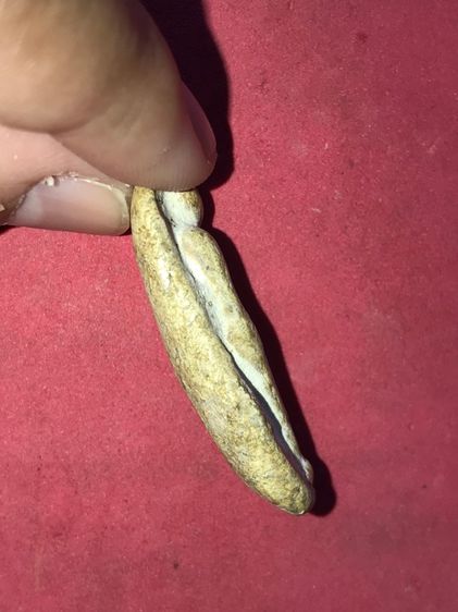 พระกรุ พิมพ์วันทาเสมา เนื้อผง ขอบไม่คม ผิวเดิม เก่า แท้ สภาพสวยสมบูรณ์ เป็นธรรมชาติ พระแท้ มีพุทธคุณ ไม่ทราบกรุ รูปที่ 3