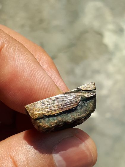 หลวงปู่ทวด เตารีดใหญ่ พิมพ์บี หัวแหลม บัวเขาควาย ปี 2505 วัดช้างให้ จ.ปัตตานี เนื้อทองผสม ผิวมะระ เดิมๆ แห้ง เหี่ยว ย่นทั้งองค์ หลังอย่างสวย รูปที่ 6