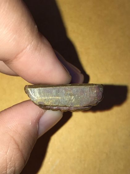 หลวงปู่ทวด หลังยันต์ หน้าจีน วัดบางนอน ระนอง ปี 2506 รุ่นแรก เนื้อทองผสม ผิวเดิมๆ ด้านหลังตัวหนังสือ หลวงปู่ทวดรุ่นนี้เป็นรุ่นที่ทันอาจารย์น รูปที่ 5