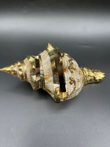 เปลือกหอยเคลือบทอง สำหรับใส่นามบัตร made in Philippines  รูปที่ 3