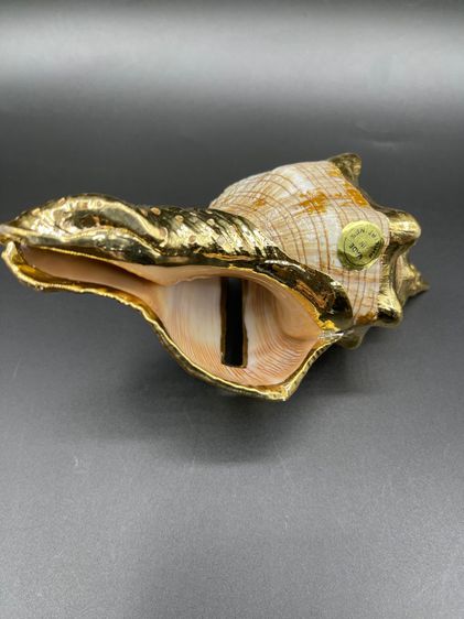 เปลือกหอยเคลือบทอง สำหรับใส่นามบัตร made in Philippines  รูปที่ 4