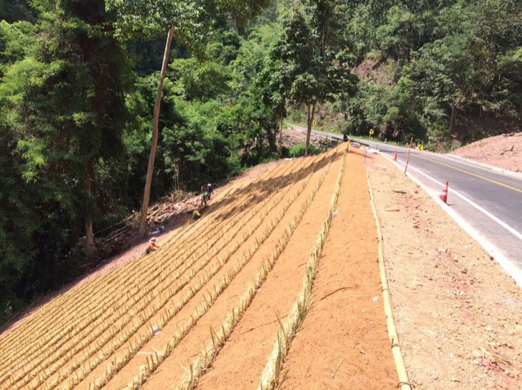 ใยมะพร้าวแผ่น มีหลายขนาดและราคา  รูปที่ 7