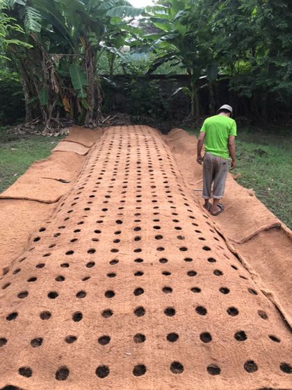 ใยมะพร้าวแผ่น มีหลายขนาดและราคา  รูปที่ 10