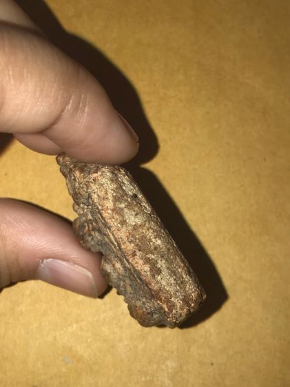 พระขุนแผน พิมพ์พลายคู่ตัดเดี่ยว หน้ายักษ์ กรุวัดบ้านกร่าง พิมพ์ทรงคม ชัด ลึก เนื้อดิน สีน้ำตาล ผิวพรรณขององค์พระเปิดทั้งด้านหน้าและด้านหลัง  รูปที่ 4